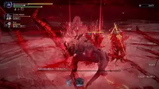 ナイトレイン【執行者】2026-01-26 浅き夜強化ハルモニアワーム避け失敗 DAY3 （GACHIPIKU）隠者＆レディさん 【無編集動画】ELDEN RING NIGHTREIGN