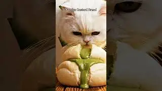 CAT MUKBANG! 🦞 MOST SATISFYING Cat Eating ASMR - Caramelized Peach Galette , Mango Sticky Rice