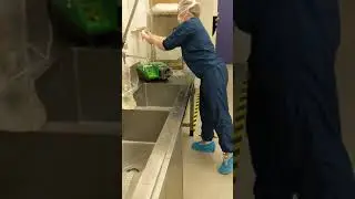 Appropriate Garbing and Glove Technique in Cleanroom/Tatiana Lastovkina/05/05/2021