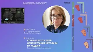 COMBI-ELASTO В ДЕЛЕ: ДЕМОНСТРАЦИЯ МЕТОДИКИ НА МОДЕЛИ