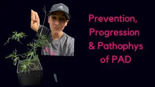 Prevention, Progression & Pathophys of PAD