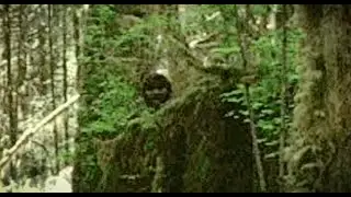 INCREDIBLE BIGFOOT CAUGHT ON VIDEO!! - Compelling Footage Shows Evidence Of Sasquatch On Camera!!