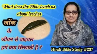 Hindi Bible Study #237 The leech has two daughters 'जोंक की दो बेटियों' का क्या मतलब है ?