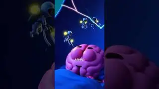 Your Brain Edits Your Memories 😲  #facts #science #3danimation