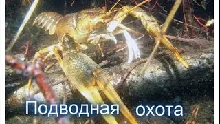 подводная охота