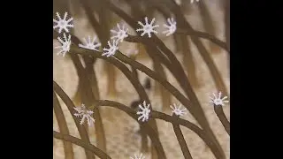 MEDESKI MARTIN & WOOD - Farmer's Reserve (2004) FULL ALBUM - Free Jazz, Free Improvisation