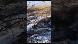 НЕ ПОВЕРИШЬ! Факт, который ломает мозг 🧠 #Сенсация