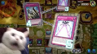 THE BATTLE OF NEGATE COUNTER TRAP! YUGIOH MASTER DUEL