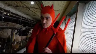 Grande Noirceur - BBQ (Le diable est aux vaches)