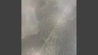 Freestyle