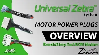Broad Overview of the Motor Power Plugs with Harnesses