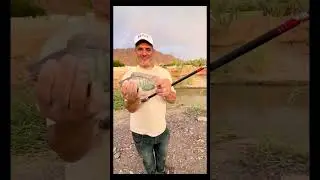 Madina Mai fishing🐠 | horse riding 🏇🏽| Arab life 