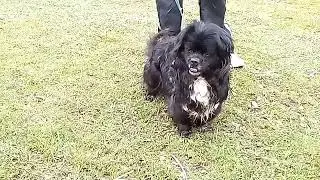 film peki