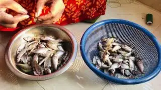 Mini Vlog..... Day 1 পুটিমাছের শুটকি দিলাম