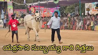రెంటచింతల జూనియర్స్ 8జత. యర్రసాని సుబ్బయ్య గారు. పమిడిమర్రు గ్రామం నరసరావుపేట మండలం