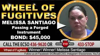 wof 205 Melissa Santiago