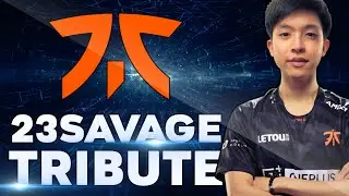 23savage out of Team Fnatic - BEST Plays Tribute Dota 2
