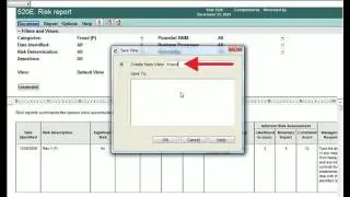 CaseWare Audit: Risk Report