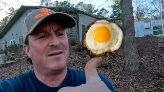 Посадить дерево жареных яиц?! Редкий цветок