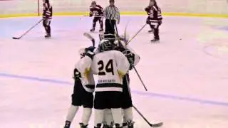Pink the Rink Announcement