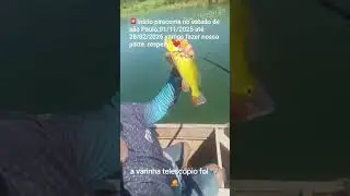 deu in&iacute;cio o per&iacute;odo de defeso aqui no estado de s&atilde;o Paulo vamos nossa parte.respeitar at&eacute; logo ❤️🙏