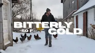 Blizzard Prep on the Homestead | 50&deg; below zero!