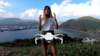 The use of emerging technologies in seabirds population assessment, a review