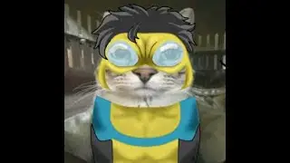 Invincible (Try not to be a hero challenge)