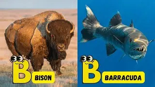ABC Land & Sea Animals Song | Fun Learning Short 🎶 | A to Z Animals for Kids | #abcd #kids #learning