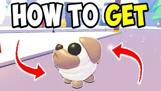 How To GET SNOWBALL PUG EASILY in Adopt Me! (FULL GUIDE) Roblox