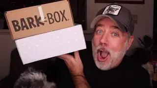 THE LAST DOG SUBSCRIPTION BOX UNBOXING!