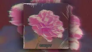 [FREE] REGGAETON LOOP KIT - JARD&Iacute;N (Mora, Omar Courtz, De La Rose, Bad Bunny, Jhayco)