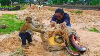 Greatest SokYaa Help Mom Moving Fake Stone & See Mystery Fish & Eel
