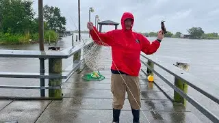 Crabbing before the STORM ( catching Louisiana blue crab in a tropical storm )