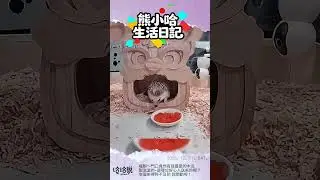 🦔 喔齁～門口竟然有我最愛的木瓜甜滋滋的~是哪位好心人送來的呢？幸福來得猝不及防 我開動啦！【刺星人的生活日記20251227】 #hedgehoglife #刺蝟 #cute #刺蝟日常 #寵物