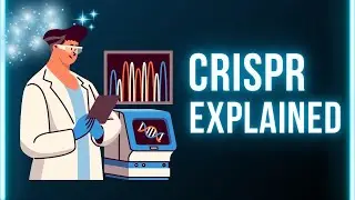 CRISPR Explained: The Future of Gene Editing & DNA Modification