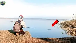 &ldquo;Nadi ka Asli Shikari 😱 Snakehead Fish Ka Khatarnak Shikar