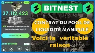 BITNEST 💥 Here's why 🚨BITNEST🚨 is playing with BITNEST LOOP🤔