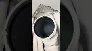 HERE THE SHIT SURFACES, WALFEX