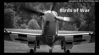 Birds of War