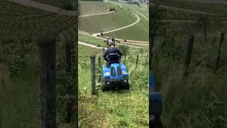 Weed Control in a Steep Vineyard.🙄⛰️🎥@weingutmay #vineyard #working #steepvineyard #tractor #weed