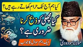 Fish ko Zebah karna Zaruri? 🐟 کیا ذبح کیے بغیر مچھلی  کھانا حرام ہے؟ | Maulana Maududi