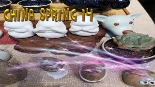 Chinese Spring Festival 2020 - Arts & Crafts
