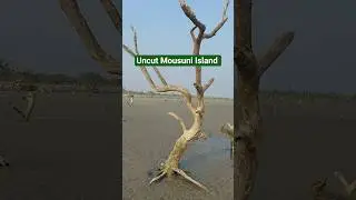 Uncut Mousuni Island #adventure #nature #travelvlog #shorts