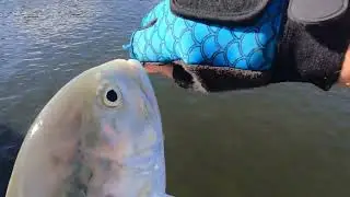 SHORT FISHING MEET WITH PG