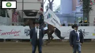 SFILATA FUTURITY - FIERA CAVALLI VERONA 2024
