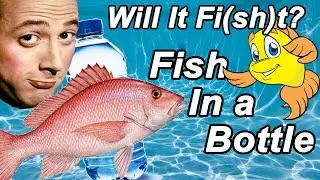 Will It Fit(sh)? - Fish in a Bottle