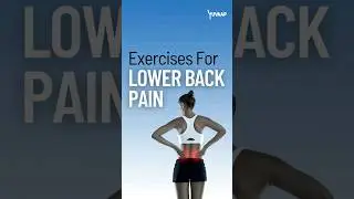 5 exercises for lower back pain relief! | Yuvaap #shorts