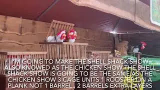 Shell shack , chicken show
