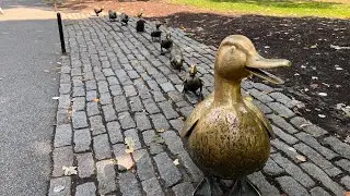 Boston Public Garden on a beautiful fall day